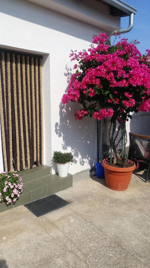 Apartments Pipi Pakoštane Εξωτερικό φωτογραφία