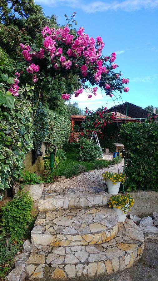 Apartments Pipi Pakoštane Εξωτερικό φωτογραφία